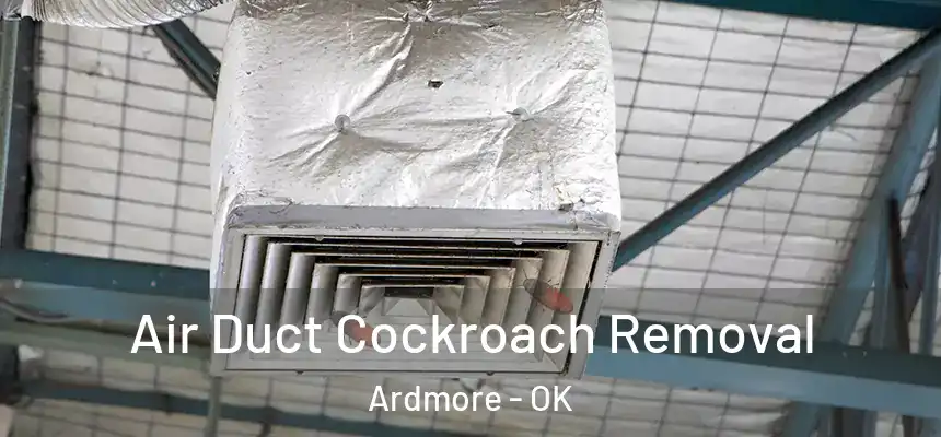 Air Duct Cockroach Removal Ardmore - OK