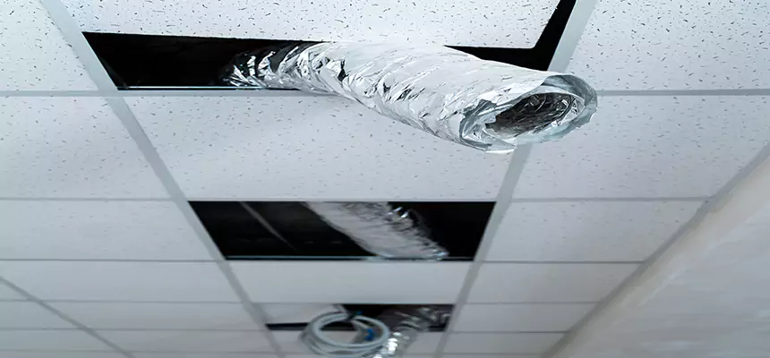 Affordable HVAC Sanitizing After Pest Removal in Ardmore