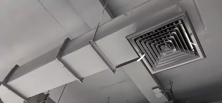 Our Pest Removal From Ducts Services in Ardmore, OK