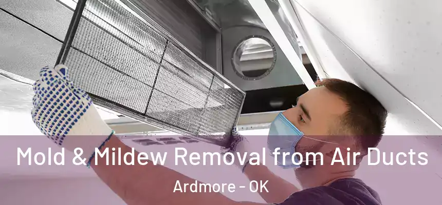  Mold & Mildew Removal from Air Ducts Ardmore - OK