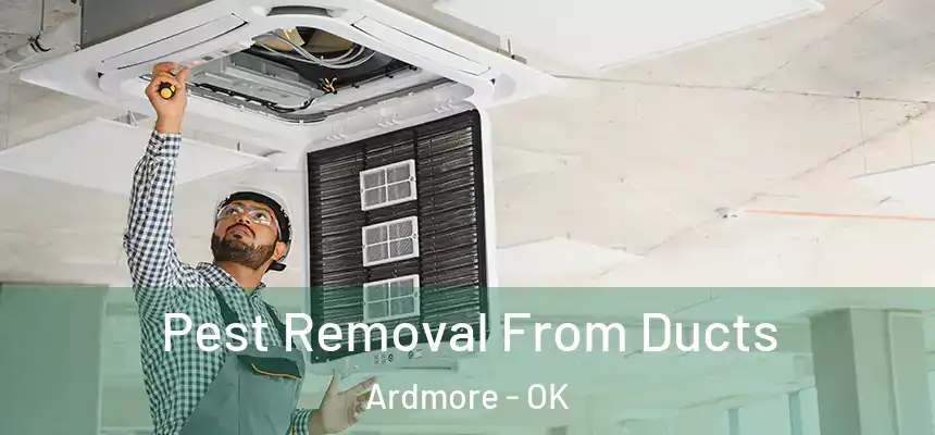  Pest Removal From Ducts Ardmore - OK