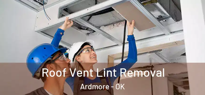 Roof Vent Lint Removal Ardmore - OK