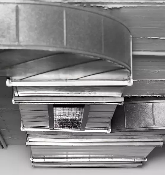 Professional Air Duct Pest Removal in Ardmore, OK