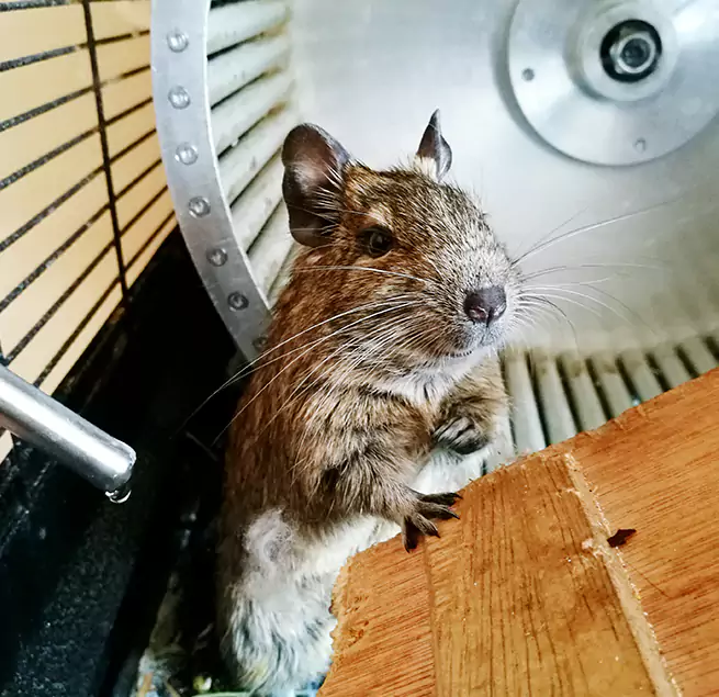 Why Homeowners & Businesses Trust Us Ardmore, OK?